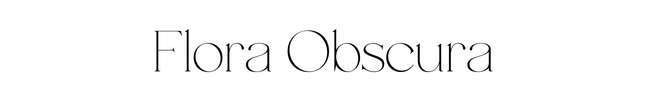FLORA OBSCURA SHOP NOW