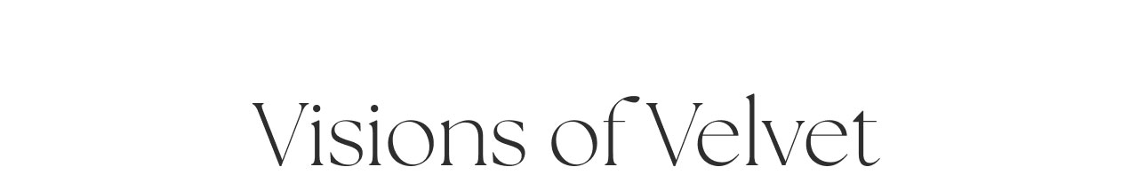 VISIONS OF VELVET