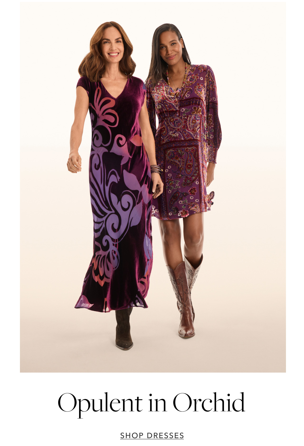 OPULENT IN ORCHID