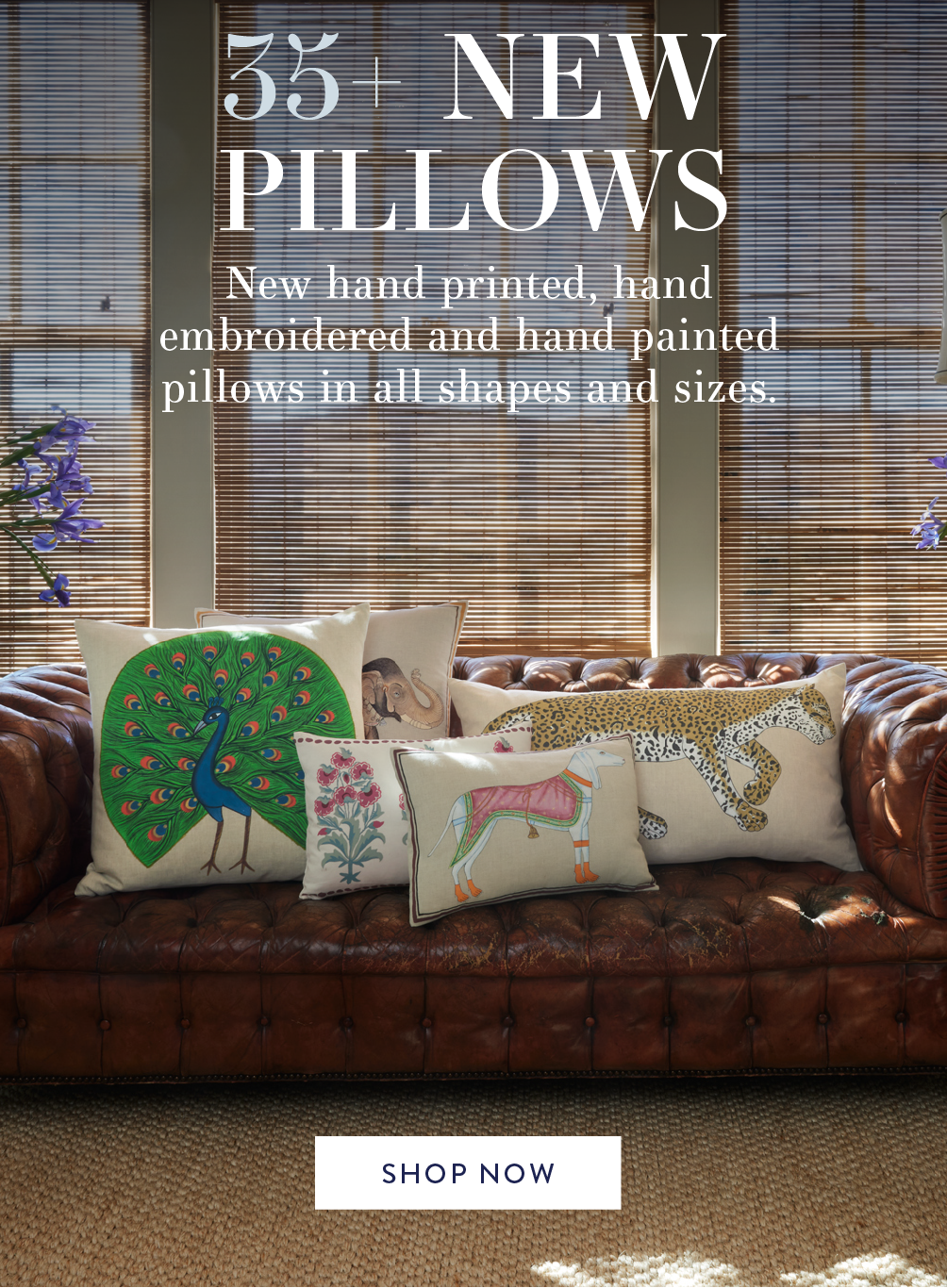 Shop Pillows