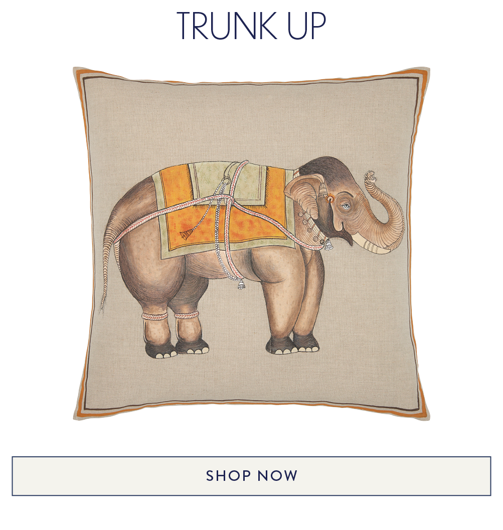 Trunk Up Decorative Pillow