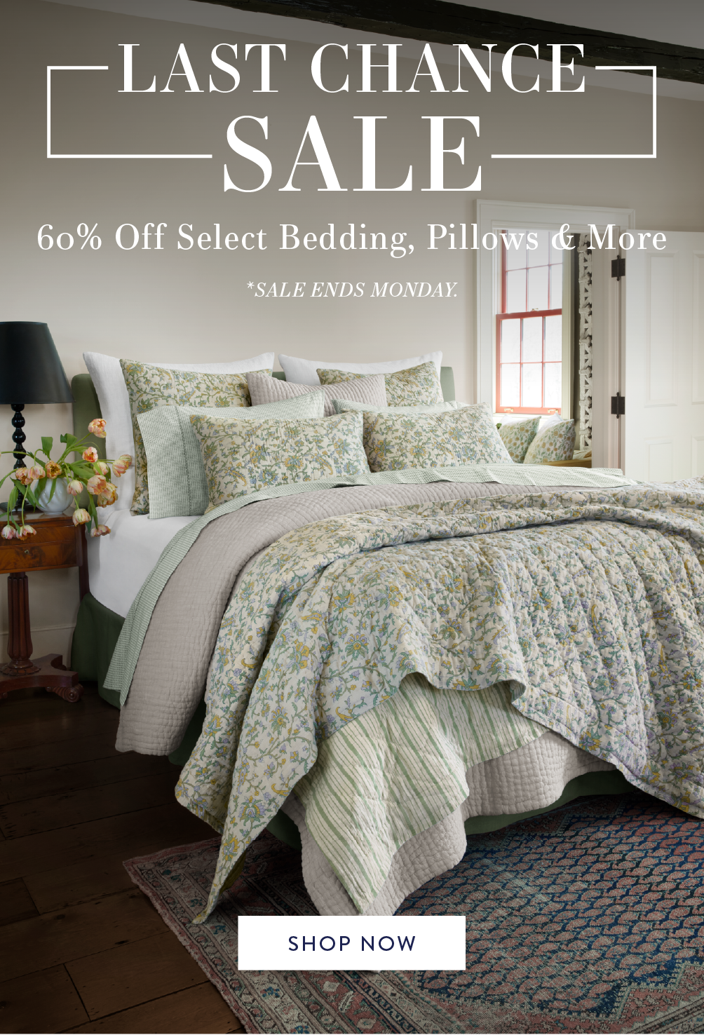Last Chance Sale