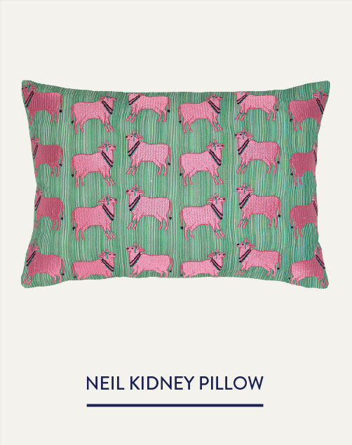 Neil Kidney Pillow
