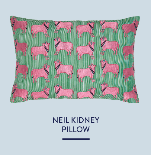 Neil Kidney Pillow