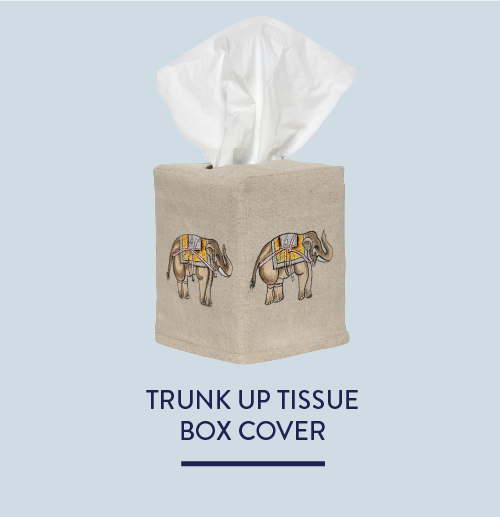 Trunk Up Tissue Box Cover