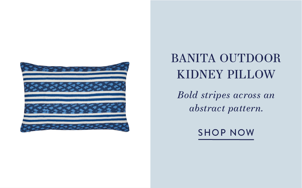Banita Outdoor Kidney Pillow