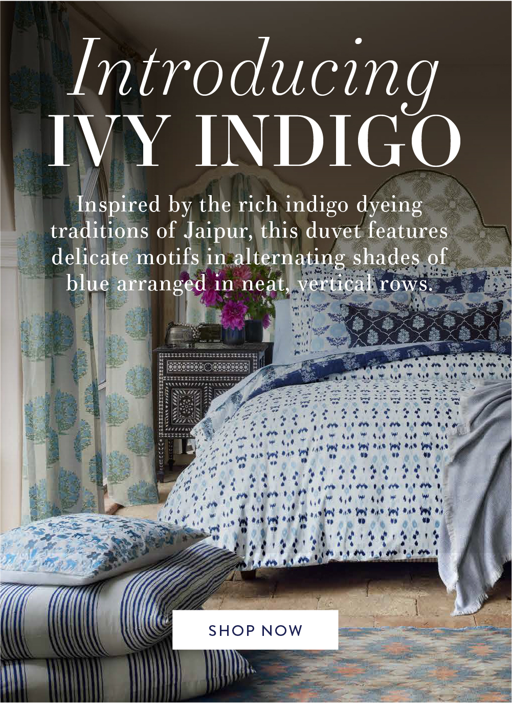 Introducing Ivy Indigo