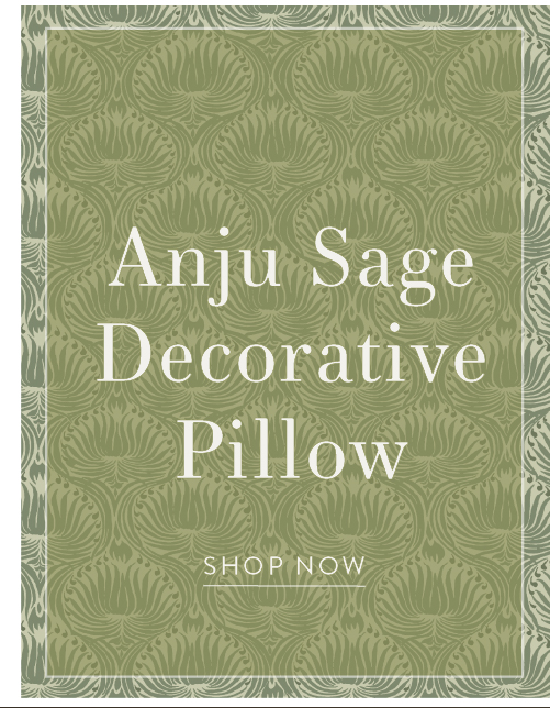 Anju Sage Decorative Pillow