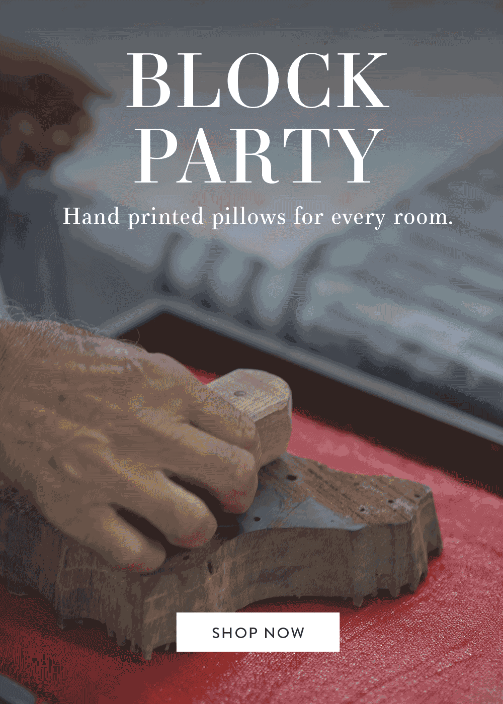 Block Printed Pillows