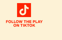 TikTok Icon