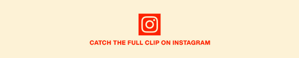 Slice 8 Image