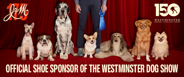 Westminster Banner