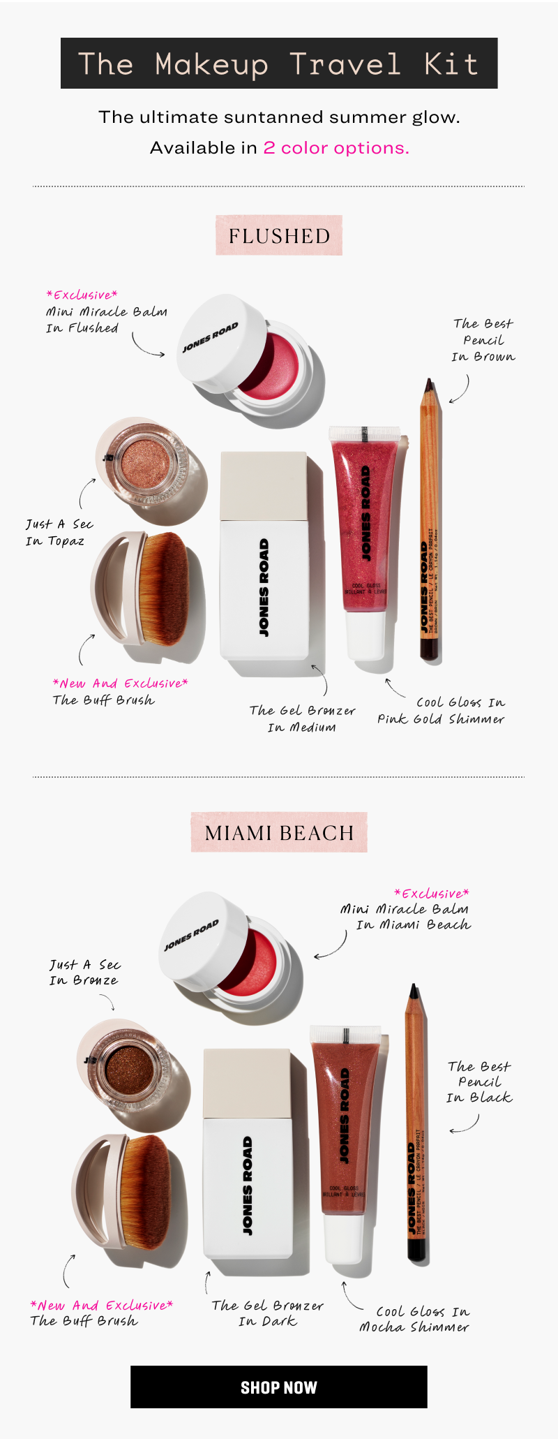 The Makeup Travel Kit
