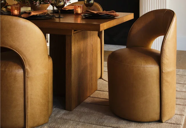 Versatile Dining Chairs