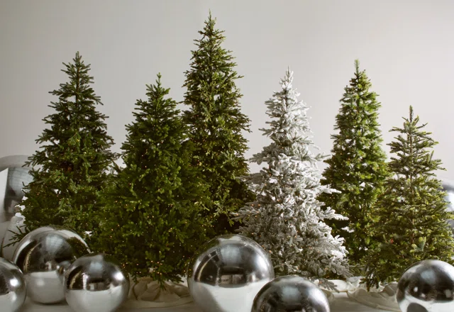 Our Favorite Holiday Trees