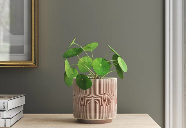 In-Stock Planters