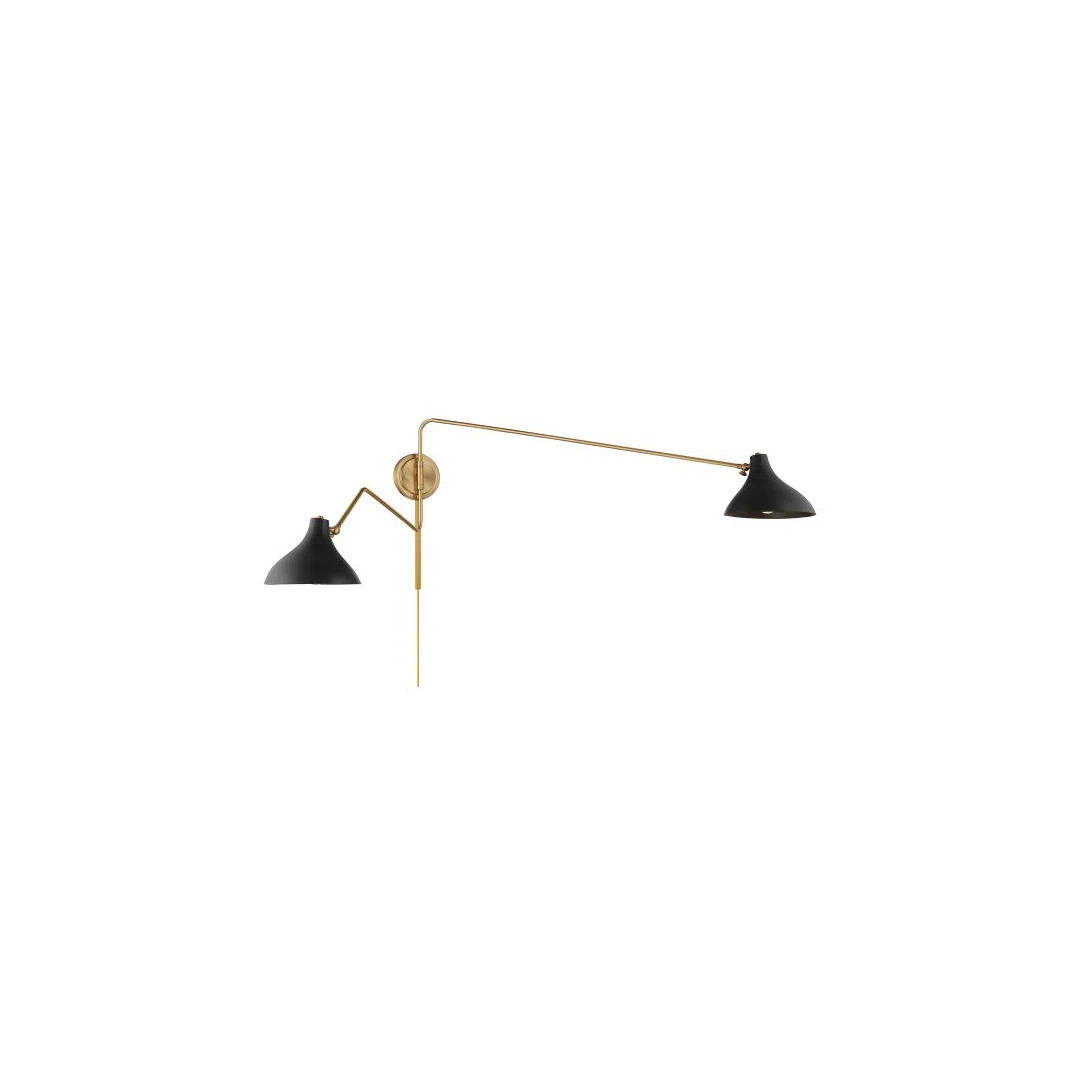 Elyse 2 Light Swing Arm Wall Sconce