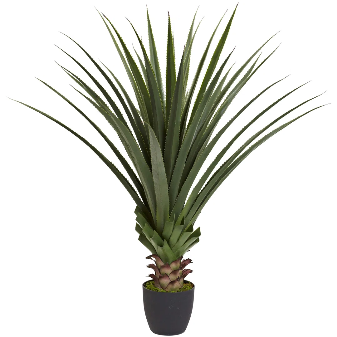 Spiked Agave Floor Plant in Pot