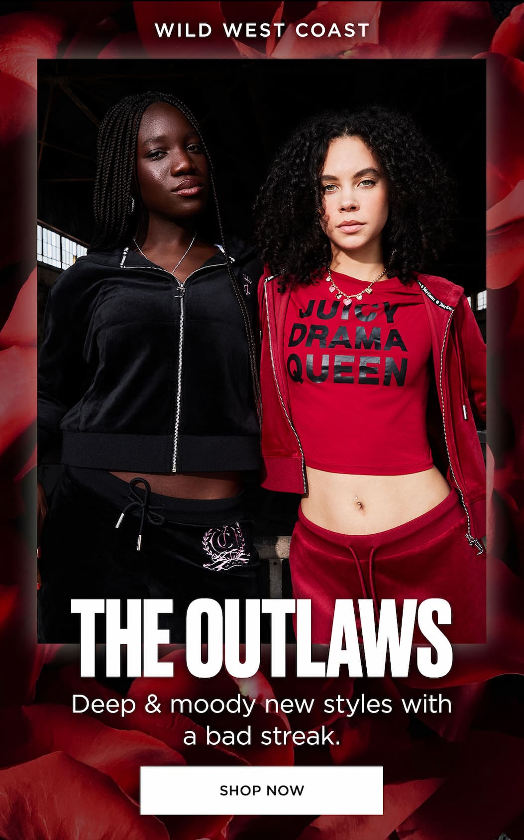 Shop Now