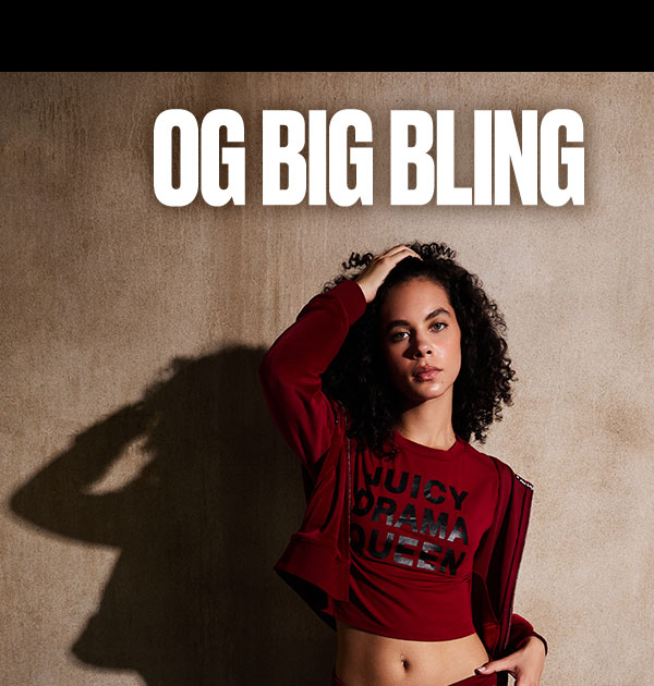 OG BIG BLING VELOUR HOODIE