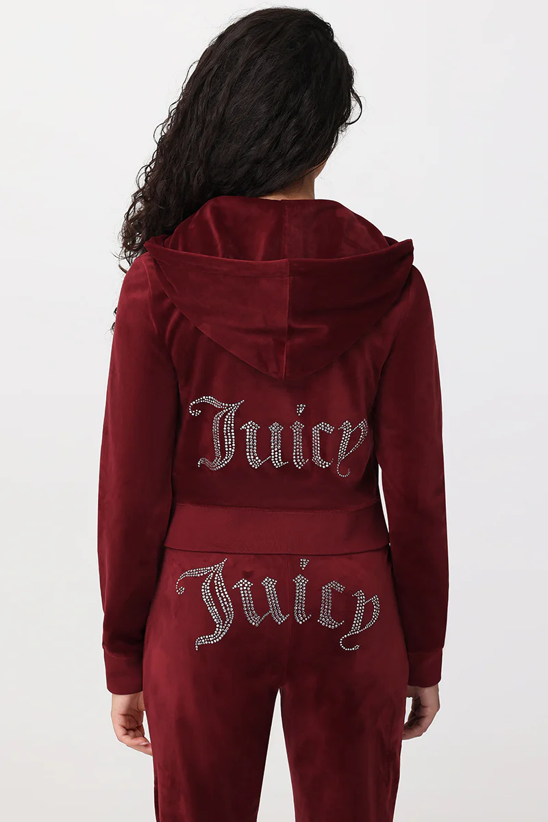 Image of OG Big Bling Velour Hoodie