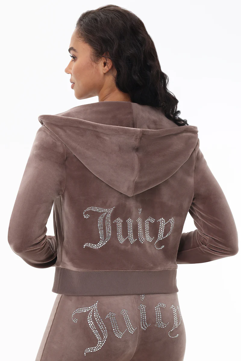 Image of OG Big Bling Velour Hoodie