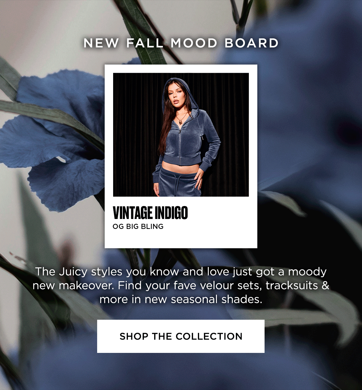 Shop New Arrivals