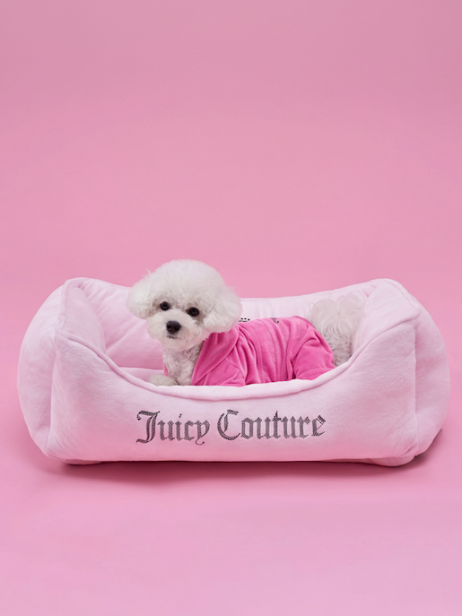 Crown Bling Black Pet Bed in Pink