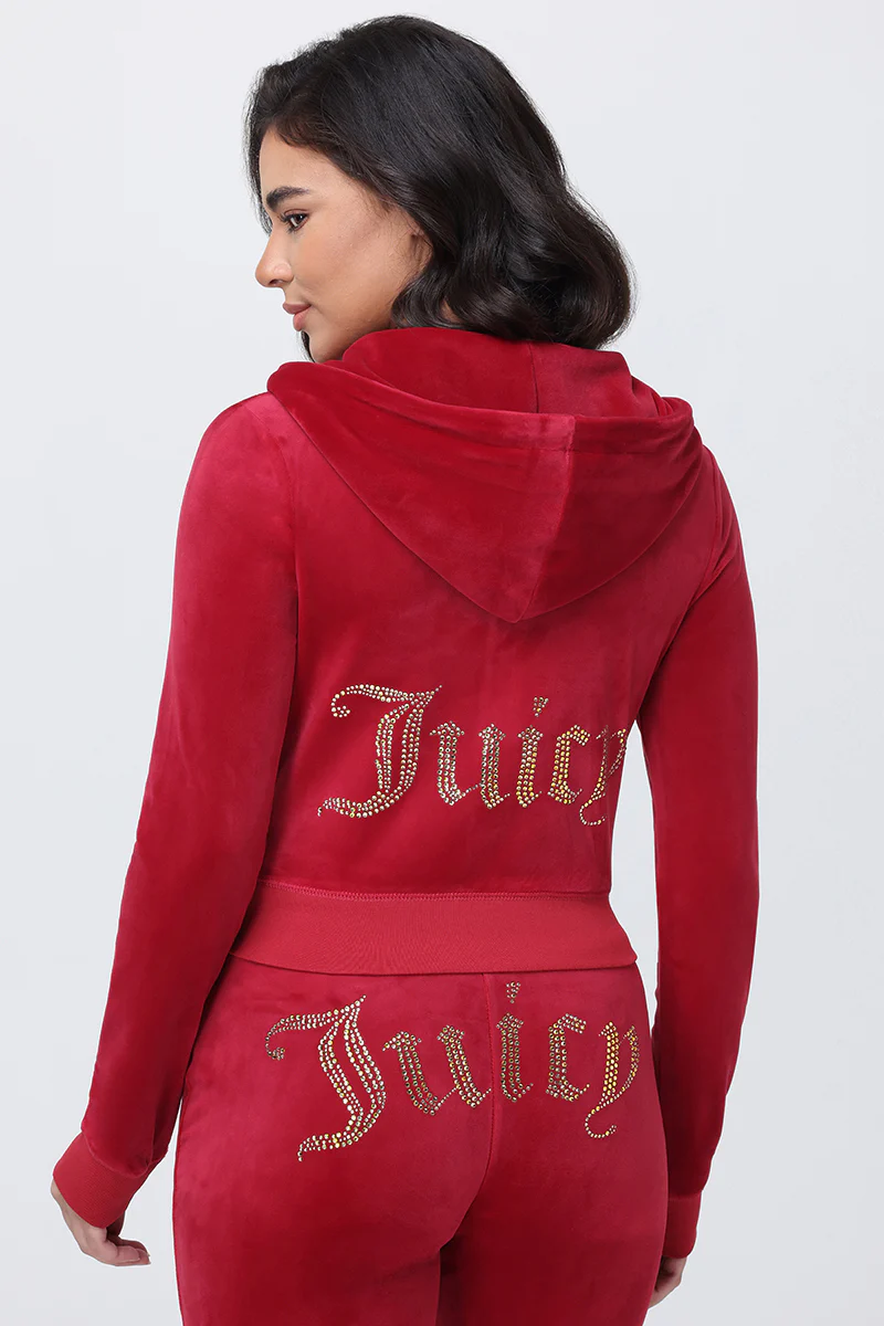 Image of OG Big Bling Velour Hoodie