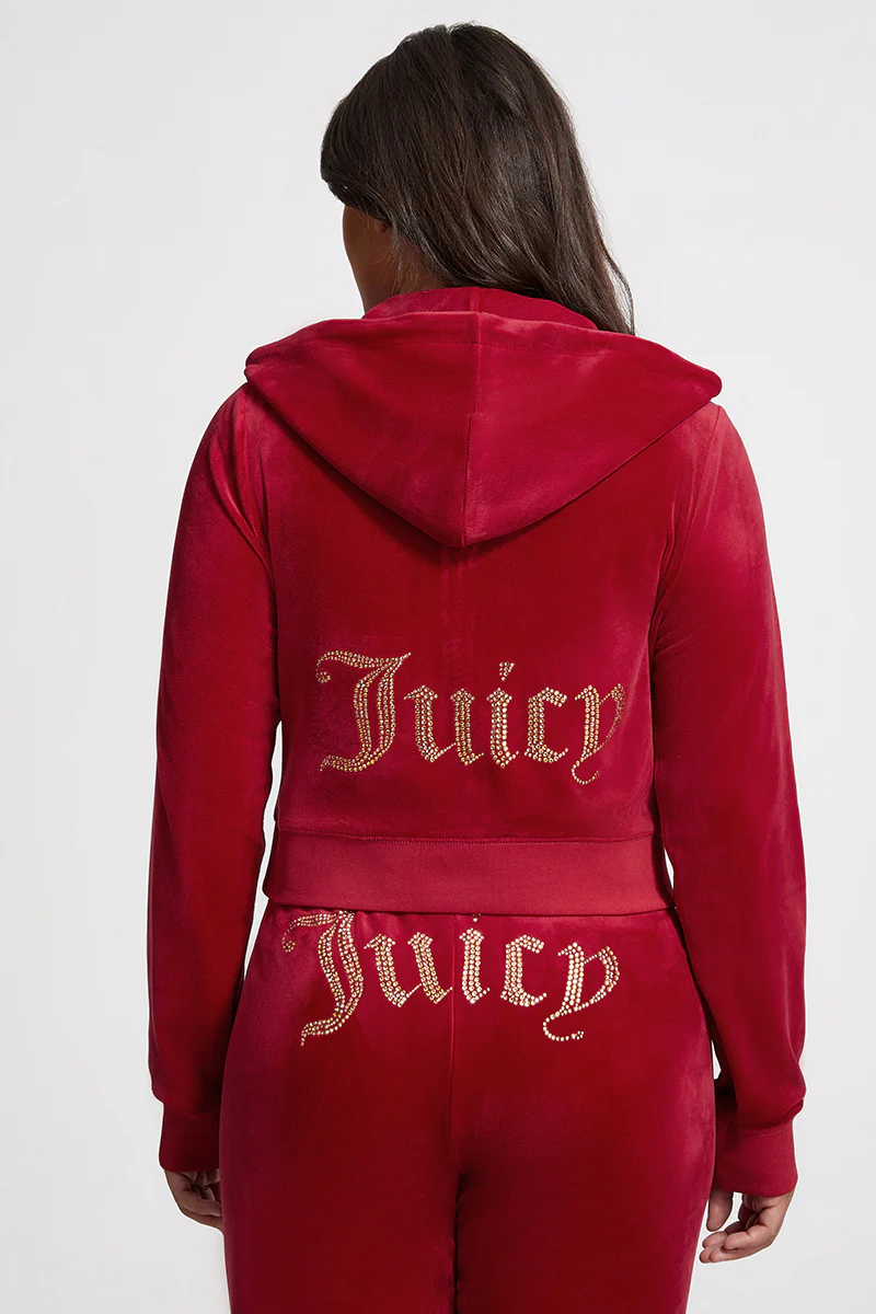 Image of Plus-Size OG Big Bling Velour Hoodie