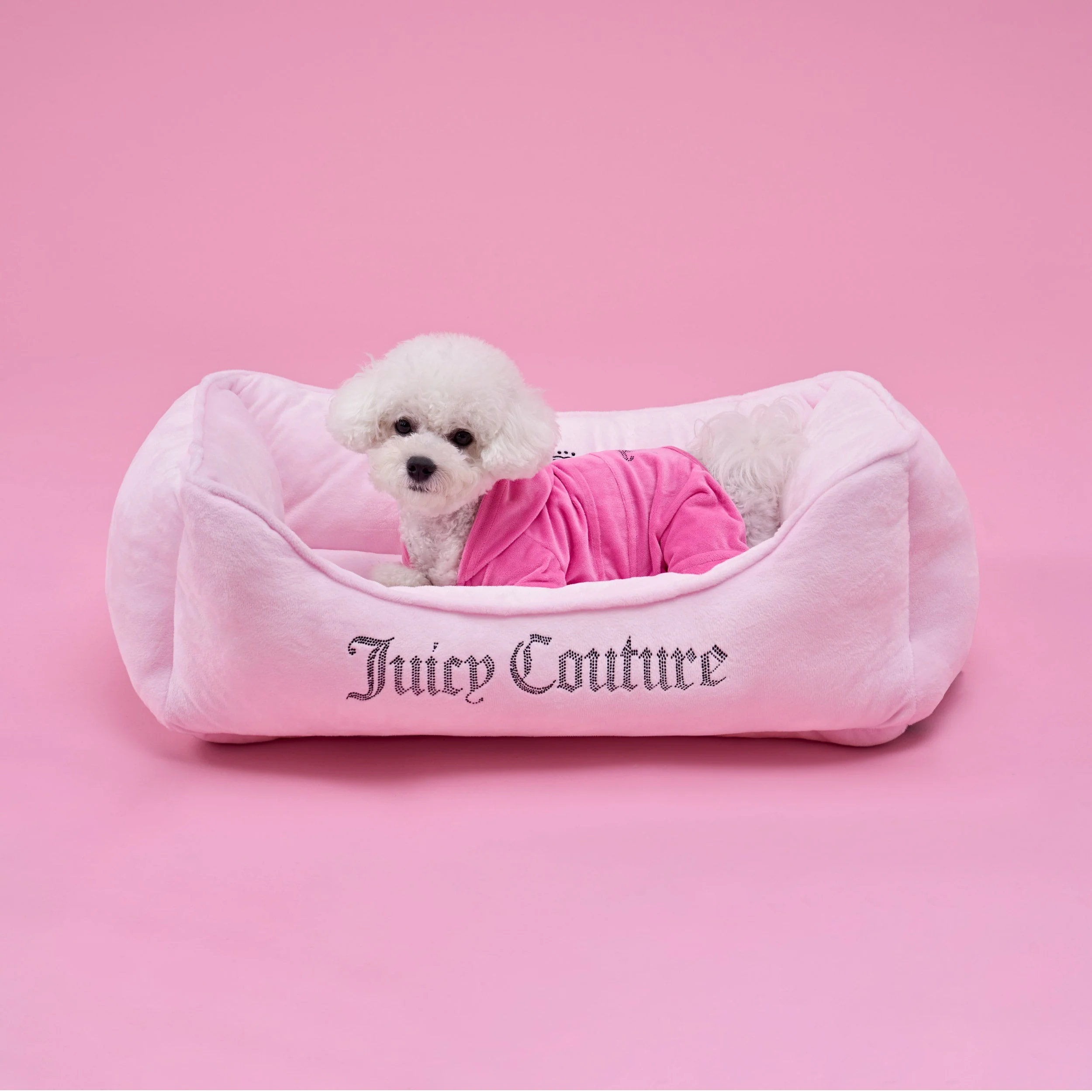 Image of Crown Bling Black Pet Bed