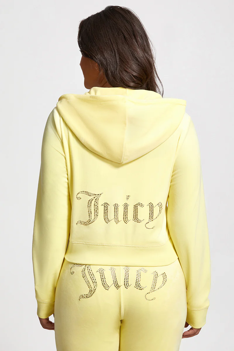 Image of Plus-Size OG Big Bling Velour Hoodie