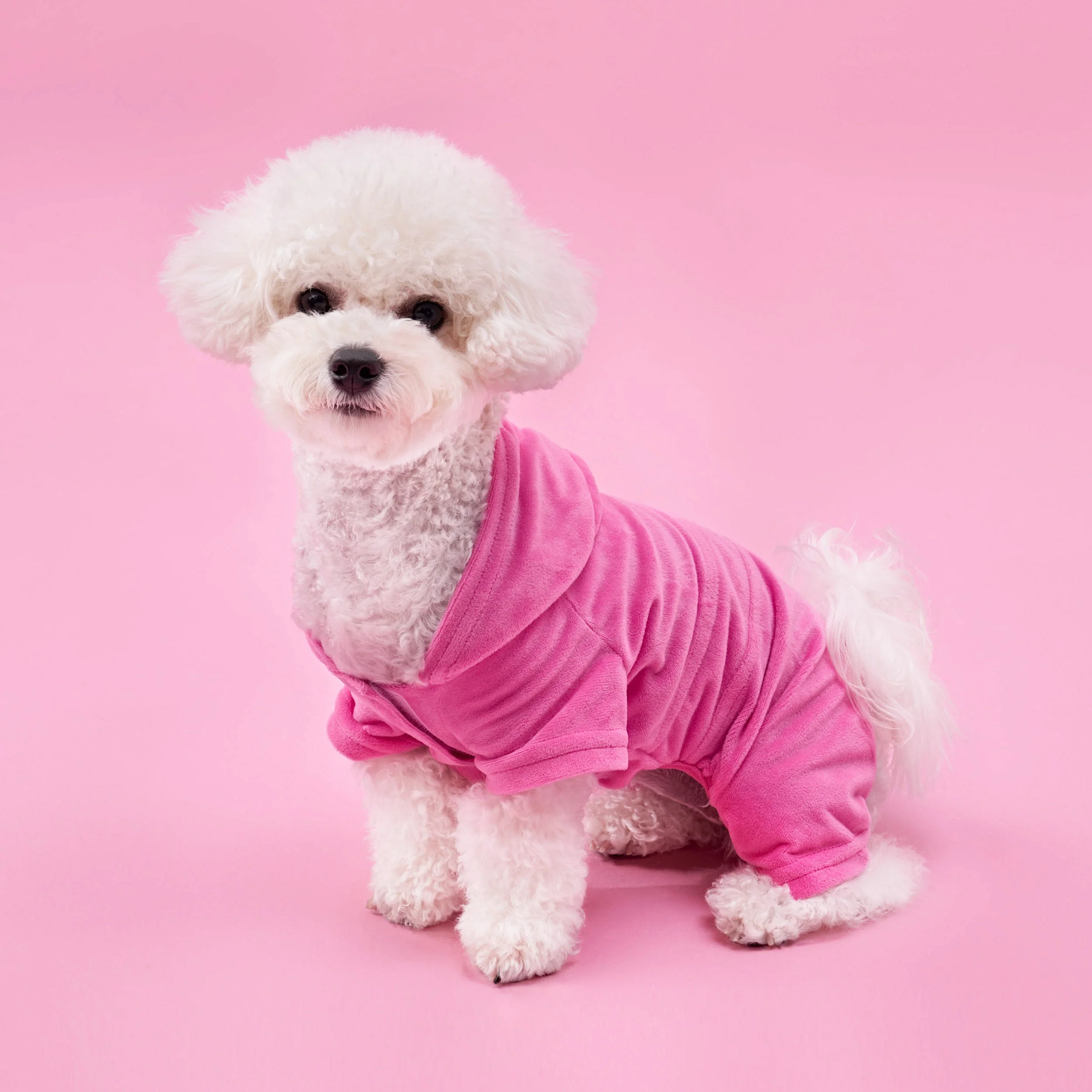 Image of Bling Velour Pet Tracksuit
