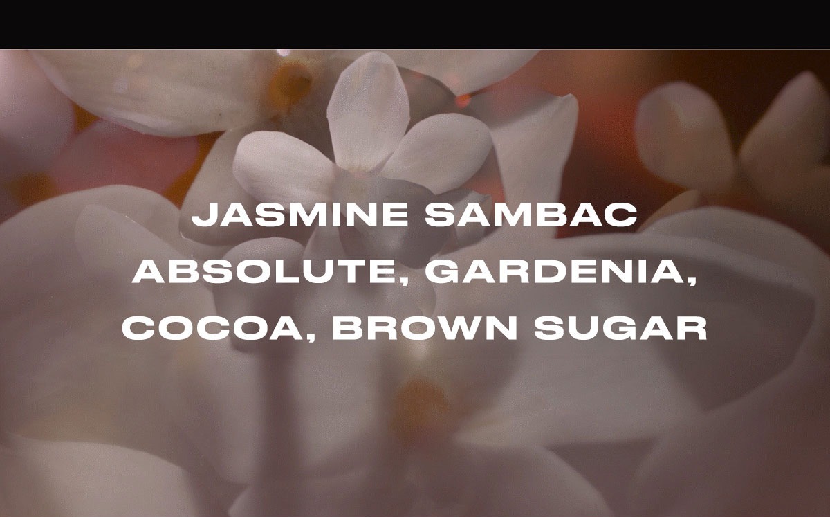 Jasmine Sambac, Absolute, Gardenia, Cocoa, Brown Sugar