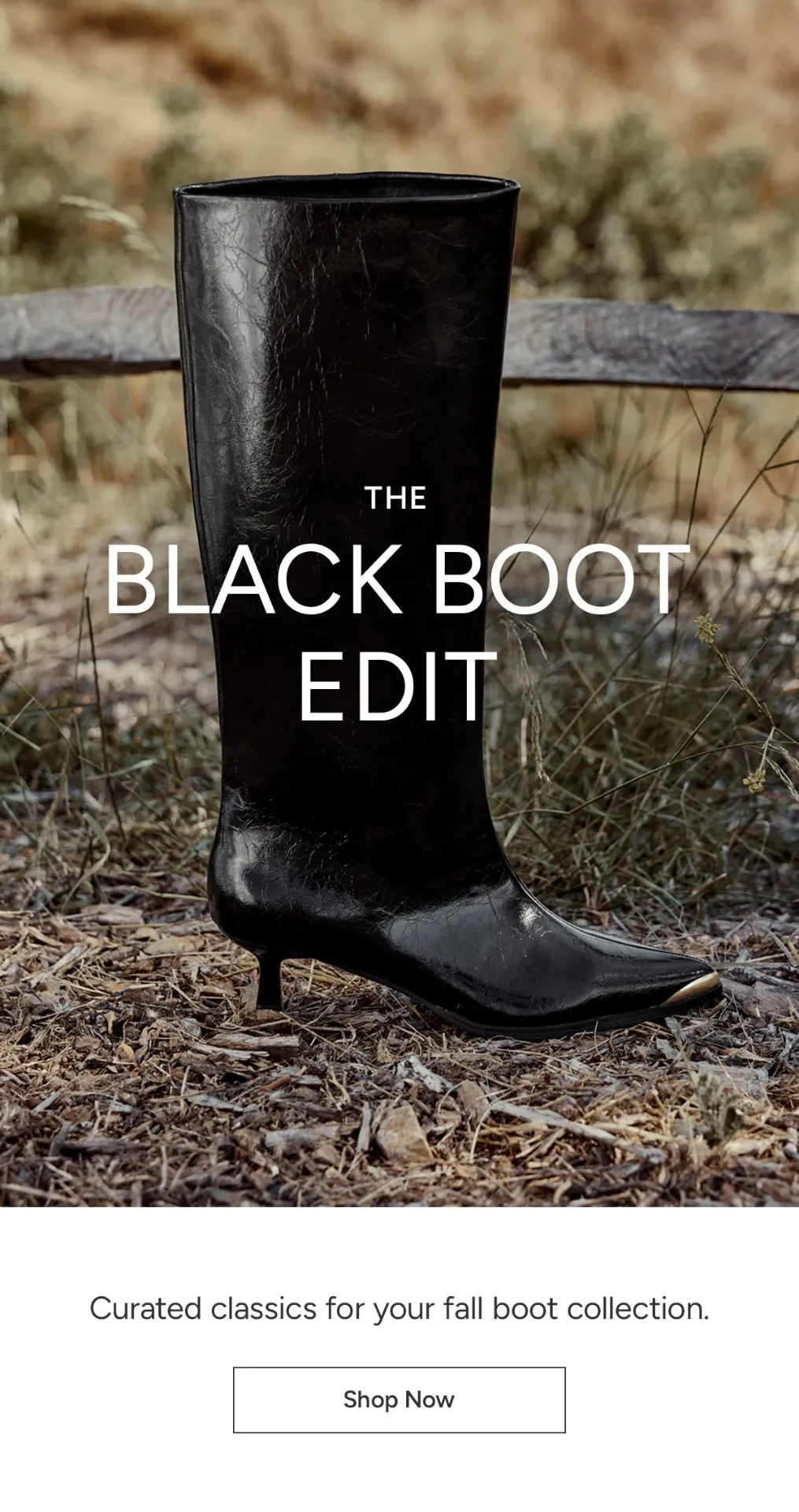 Black Boot Edit