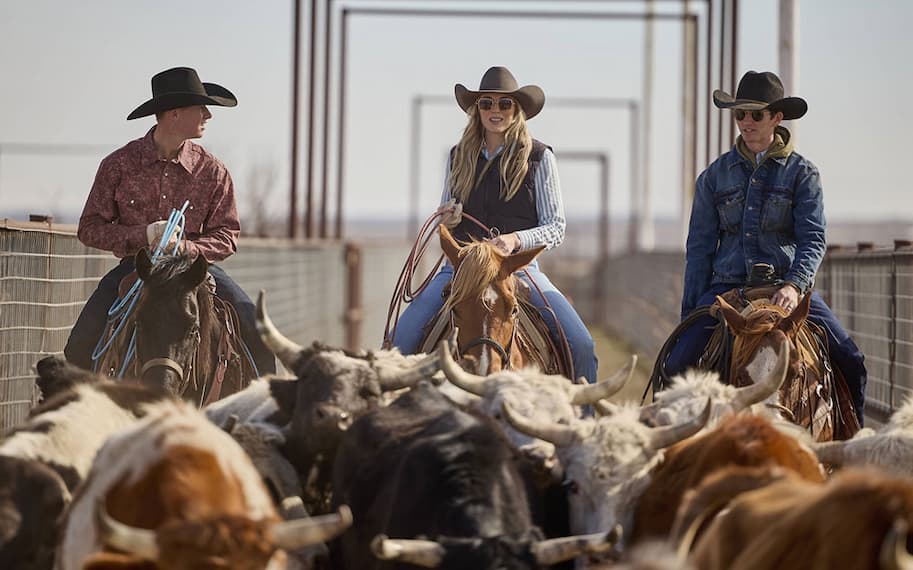 Two men and a woman riding horses.