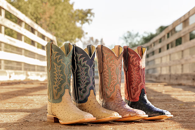 Chisolm 13" Full Quill Ostrich in vintage tan, Chisolm 13" Full Quill Ostrich in Antique Saddle tan, Chisolm 13" Full Quill Ostrich in Rum Brown and Chisolm 13" Full Quill Ostrich in Shadow Black.