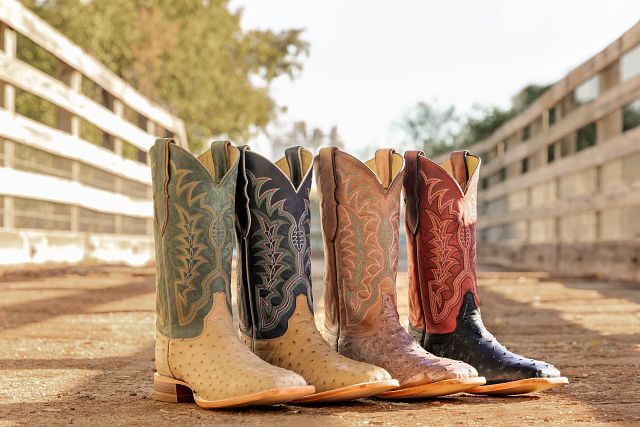 A group of Justin Ostrich Western boots placed on a ranch.