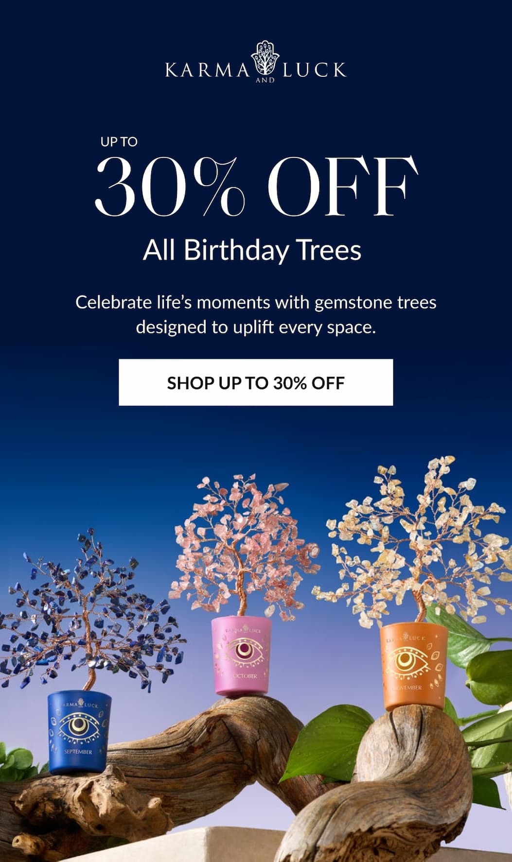 SHOP UP TO 30% OFF