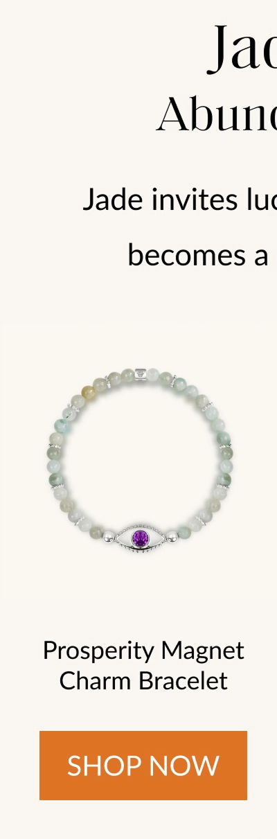 Prosperity Magnet Charm Bracelet