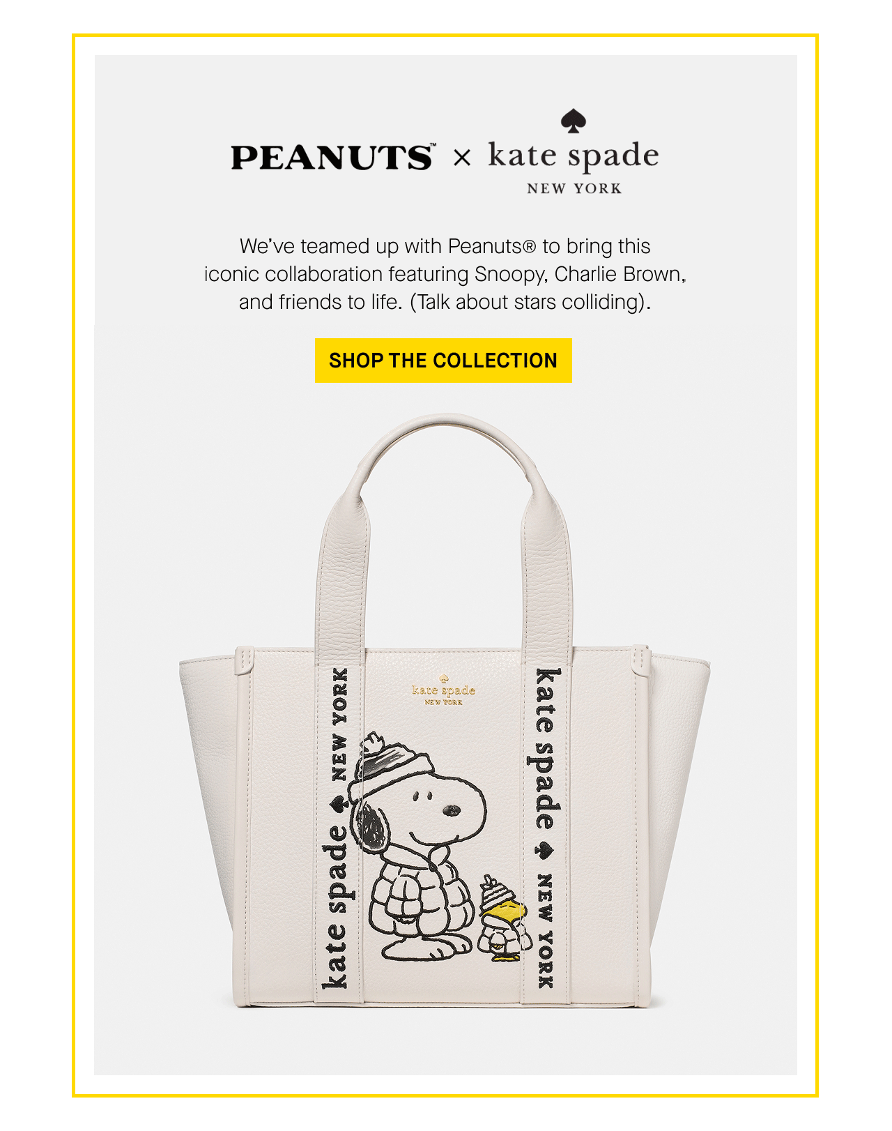 SHOP THE COLLECTION