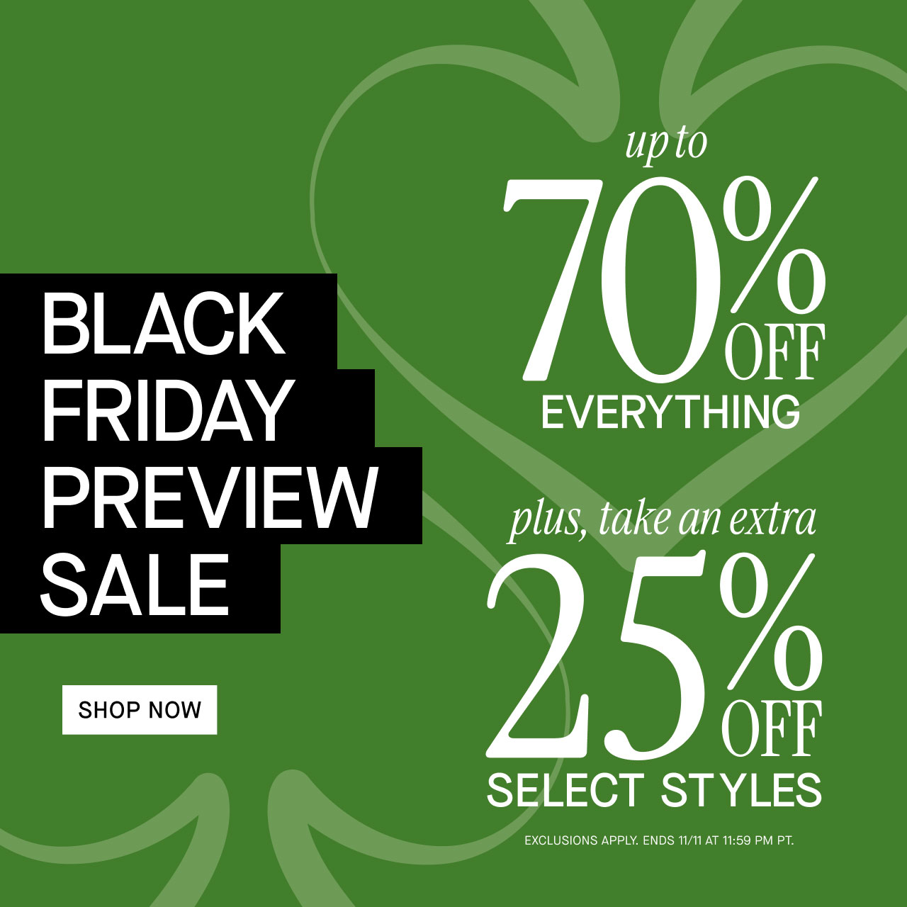 BLACK FRIDAY PREVIEW SALE