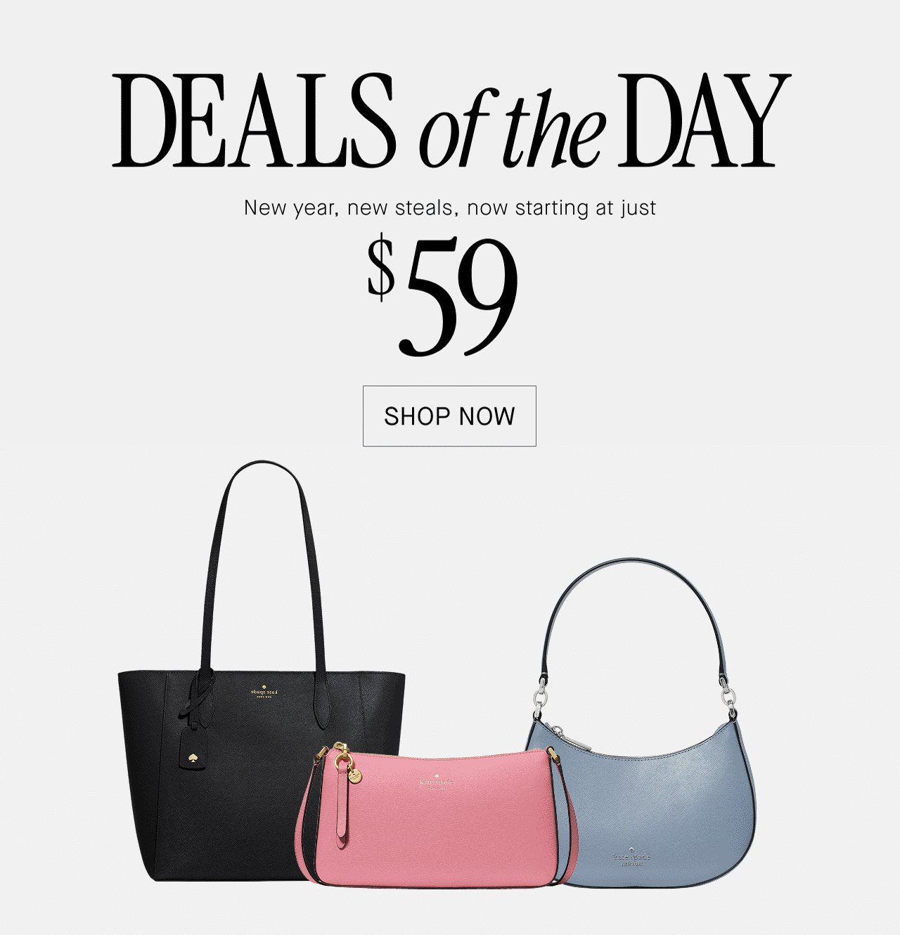 DEALS of the DAY