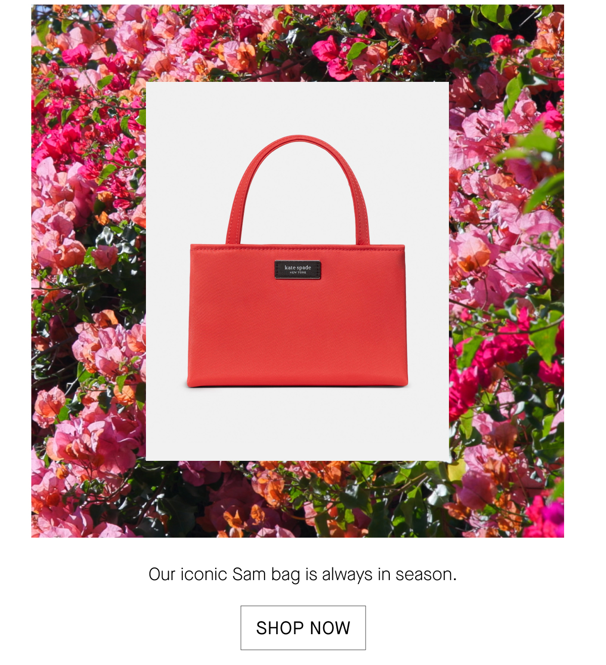 SHOP NOW