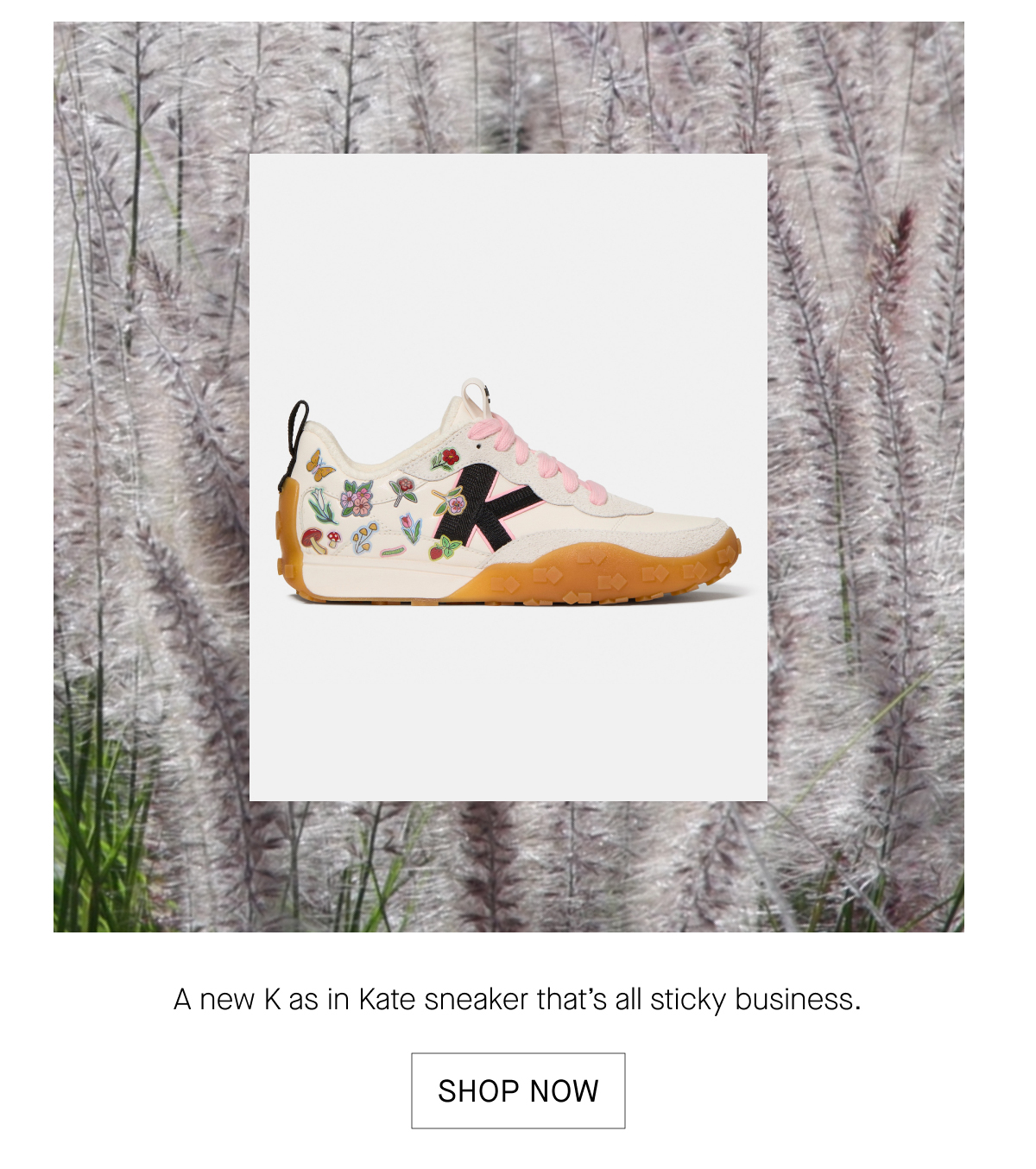 SHOP NOW
