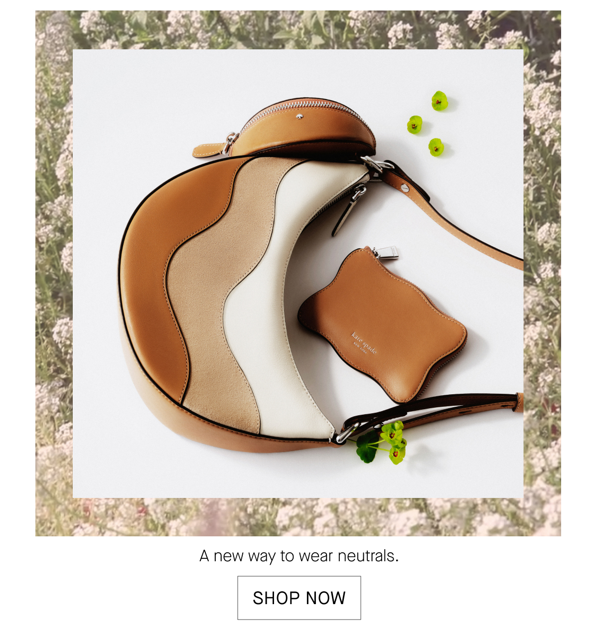 SHOP NOW