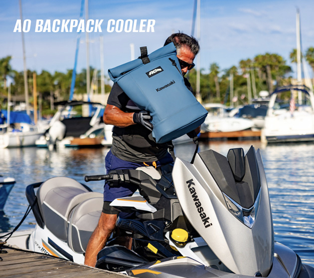 AO Backpack Cooler