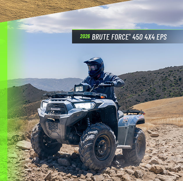 Brute Force® 450 4x4 EPS