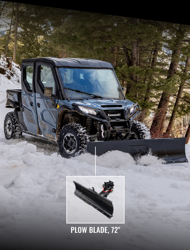 Plow Blade