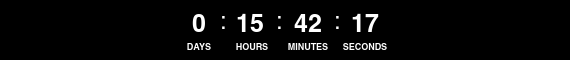 24 Hour Countdown Timer